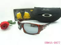 acheter sunglasses oakley 2013 lentille beau oakley good-9059